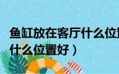 鱼缸放在客厅什么位置风水好（鱼缸放在客厅什么位置好）