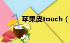 苹果皮touch（苹果皮touch4）