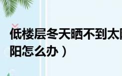 低楼层冬天晒不到太阳（低楼层冬天晒不到太阳怎么办）