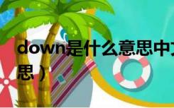 down是什么意思中文翻译（down是什么意思）