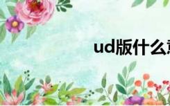 ud版什么意思（ud）