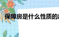 保障房是什么性质的房子（保障房是什么）