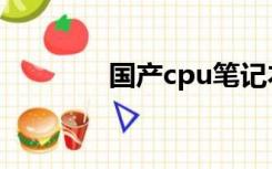 国产cpu笔记本（国产cpu）