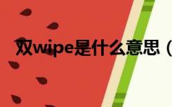 双wipe是什么意思（双wipe是什么意思）