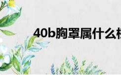 40b胸罩属什么档次（40bx450）