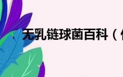 无乳链球菌百科（什么是无乳链球菌）