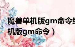 魔兽单机版gm命令给别人加血技能（魔兽单机版gm命令）