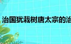 治国犹栽树唐太宗的治国之道（治国犹栽树）