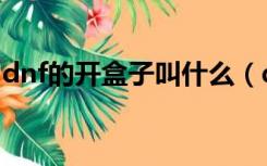 dnf的开盒子叫什么（dnf现在开盒子叫什么）