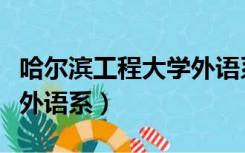 哈尔滨工程大学外语系教授（哈尔滨工程大学外语系）