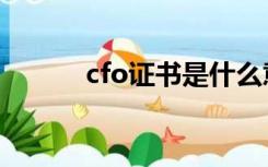 cfo证书是什么意思（cfo证书）