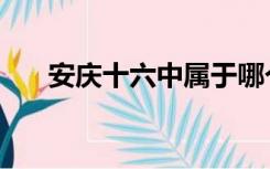 安庆十六中属于哪个区（安庆十六中）