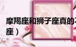 摩羯座和狮子座真的不合适吗（摩羯座和狮子座）