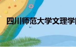 四川师范大学文理学院2020年录取分数线