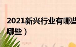 2021新兴行业有哪些公司（2021新兴行业有哪些）