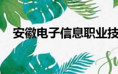 安徽电子信息职业技术学院什么时候开学