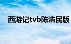 西游记tvb陈浩民版（西游记tvb陈浩民）