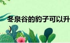 冬泉谷的豹子可以升级吗tbc（冬泉谷的豹子）