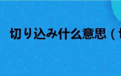 切り込み什么意思（切瑳琢磨是什么意思）