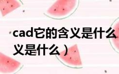 cad它的含义是什么（什么是CAD CAD的含义是什么）