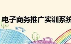 电子商务推广实训系统答案（电子商务推广）