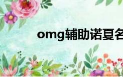 omg辅助诺夏名字（omg辅助）