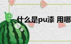 什么是pu漆 用哪里（pu漆是什么）