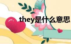 they是什么意思（th是什么意思）