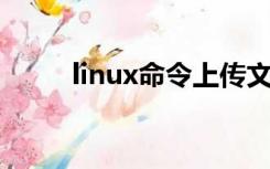 linux命令上传文件（linux 命令）