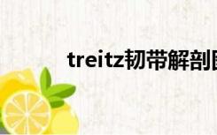 treitz韧带解剖图（Treitz韧带）