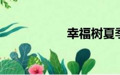 幸福树夏季养殖方法