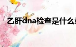 乙肝dna检查是什么意思（乙肝dna检查）