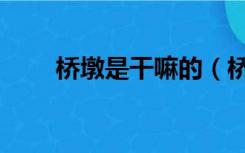 桥墩是干嘛的（桥墩的意思是什么）