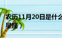 农历11月20日是什么星座（11月20日是什么星座）