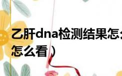 乙肝dna检测结果怎么看（乙肝dna检查结果怎么看）