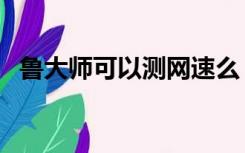 鲁大师可以测网速么（鲁大师怎么测网速）