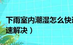 下雨室内潮湿怎么快速解决（室内潮湿怎么快速解决）