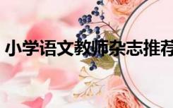 小学语文教师杂志推荐（小学语文教师杂志）