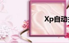 Xp自动关机命令