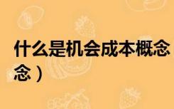 什么是机会成本概念（如何理解机会成本的概念）