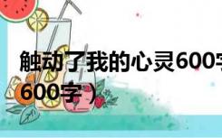 触动了我的心灵600字以上（触动了我的心灵600字）