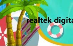 realtek digital input是什么