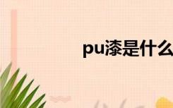 pu漆是什么漆?（pu漆）