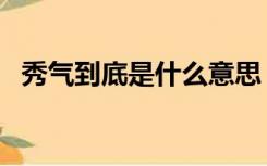 秀气到底是什么意思（秀气的意思是什么）