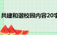 共建和谐校园内容20字（共建和谐校园内容）