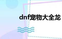 dnf宠物大全龙（dnf宠物大全）