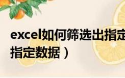 excel如何筛选出指定内容（excel如何筛选出指定数据）