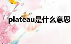 plateau是什么意思（plate是什么意思）