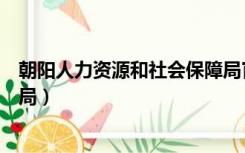 朝阳人力资源和社会保障局官网（朝阳人力资源和社会保障局）