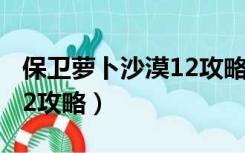 保卫萝卜沙漠12攻略图解法（保卫萝卜沙漠12攻略）